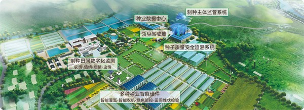 粉色视频官网下载数字种业创新应用基地